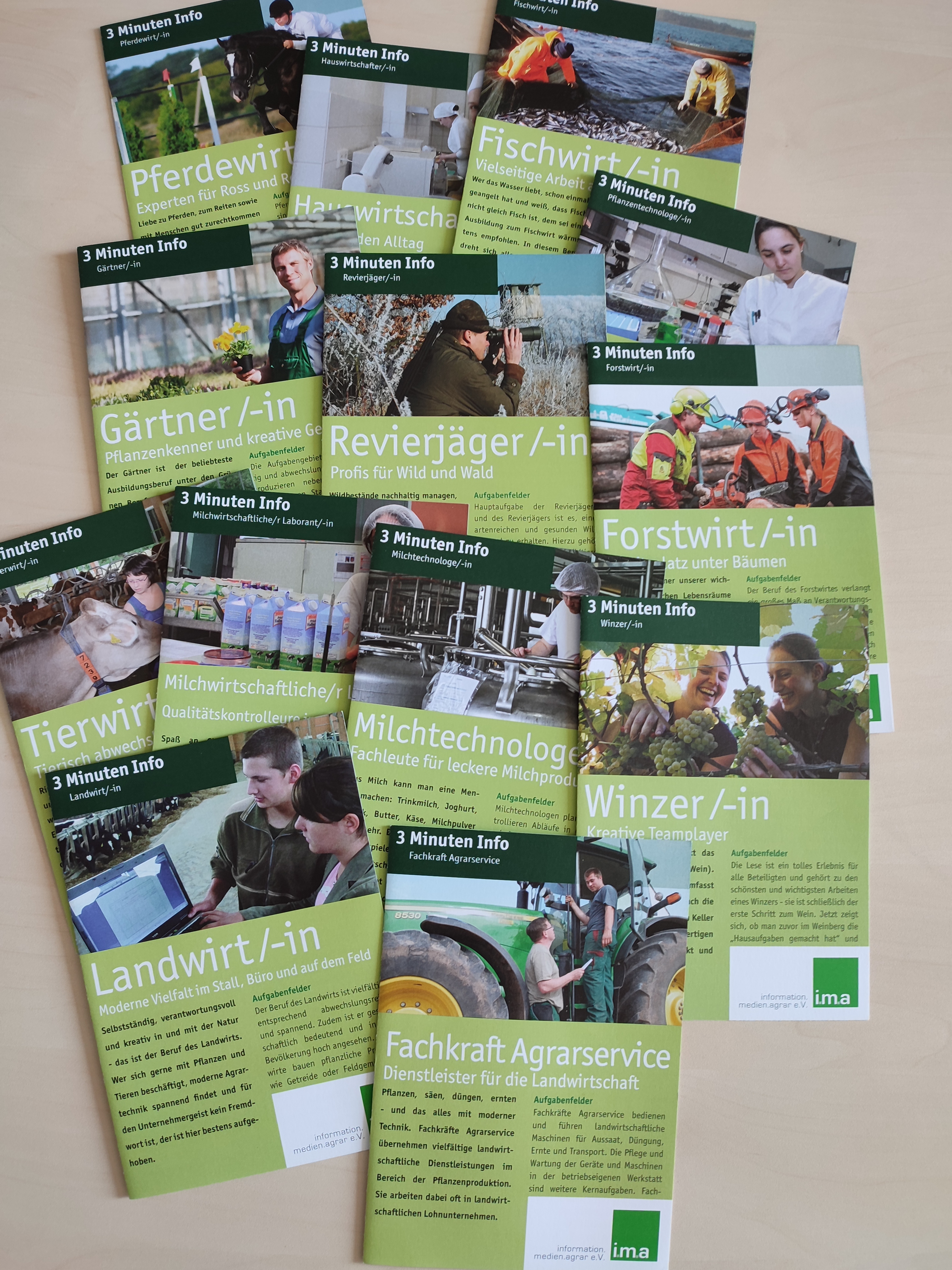 Berufsbildung im Kurzformat: Die 3-Minuten-Info-Flyer zu 13 "grünen Berufen".