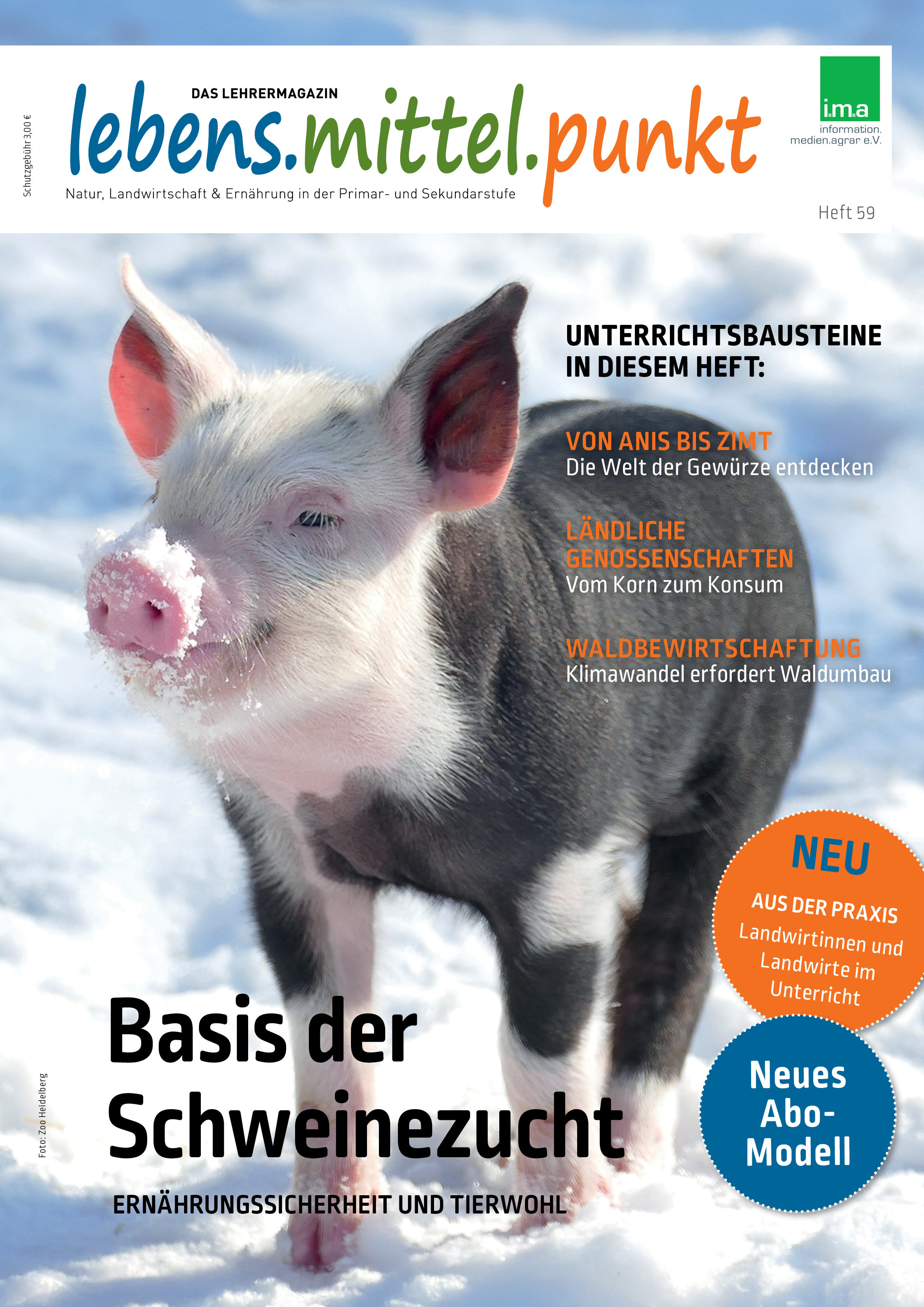 Winterliches Wohlgefühl: Zuchtferkel als Titelbild vom „lebens.mittel.punkt“.