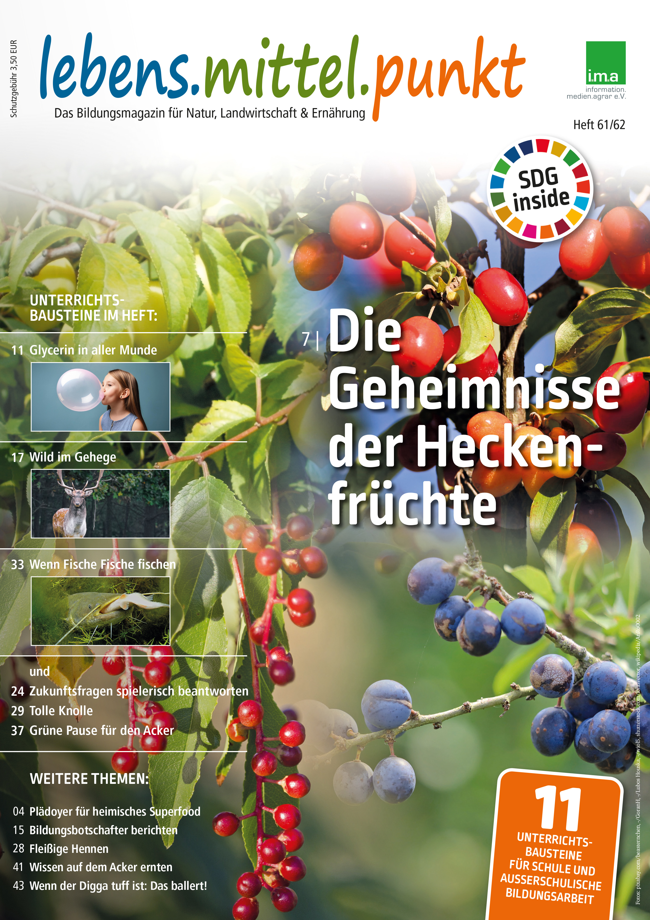 Große Themenvielfalt: Titelseite vom „lebens.mittel.punkt“, Heft 61/62.