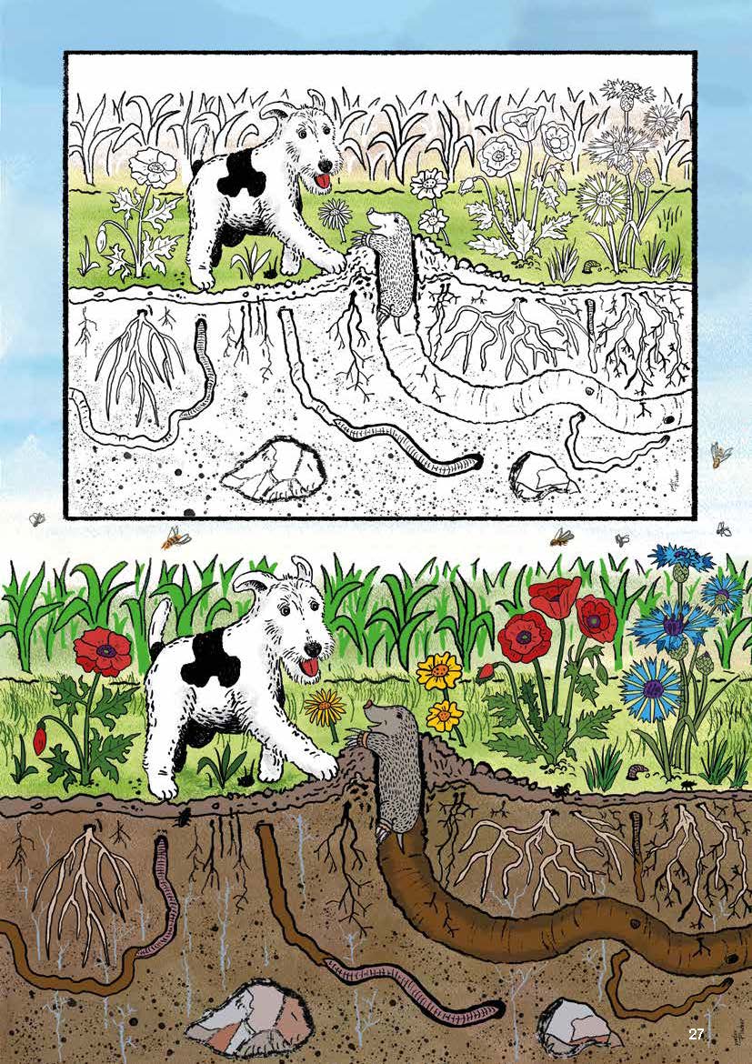 Artenvielfalt im Mal- und (Vor-)Leseheft: Beispielseite mit Vorlage zum Ausmalen.