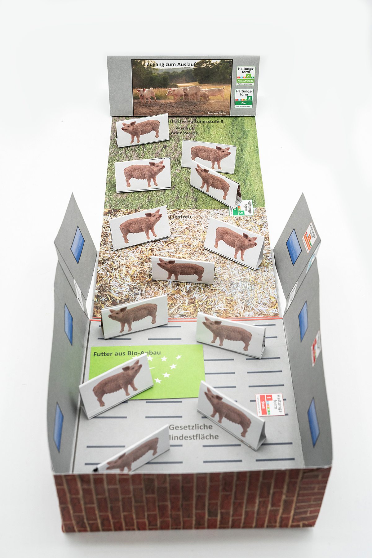Das Baumodell in seiner Ausprägung: Auf kleinstem Raum wird Schweinehaltung verständlich.