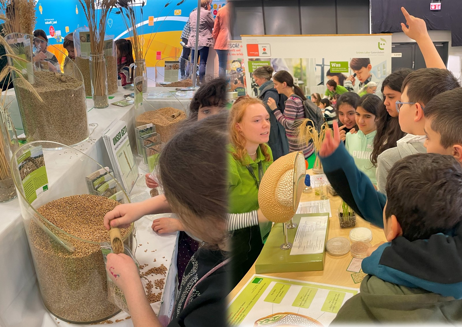 Engagement: Dabeisein und Mitmachen, heißt es immer wieder an der Getreidetheke oder der Wissensstation zum Brotgetreide.