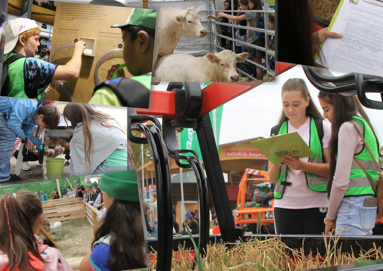 Collage mit Motiven vom Landwirtschaftlichen Hauptfest 2026 in Stuttgart