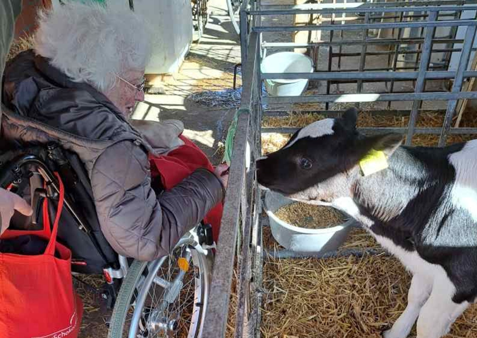 Im Rollstuhl in den Stall: An den Veranstaltungen von Charlotte Schlichting können auch Menschen mit Beeinträchtigungen teilnehmen (Foto: privat).