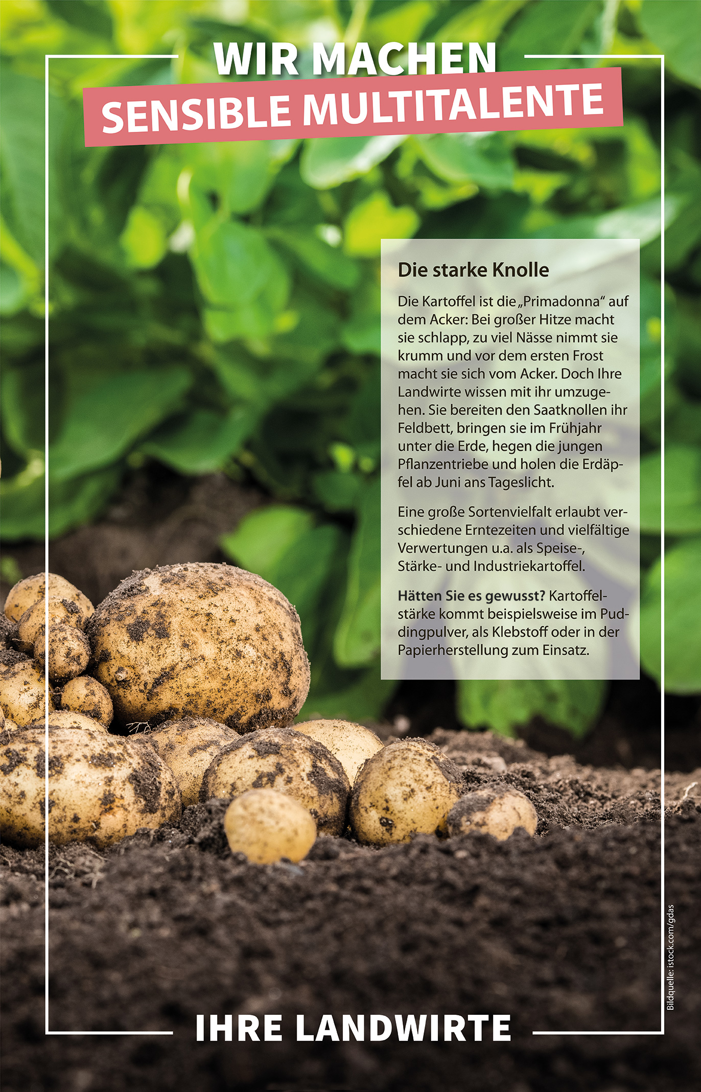 Feldrandschild zur Kartoffel: Damit informieren Landwirte die Spaziergänger am Ackerrand.