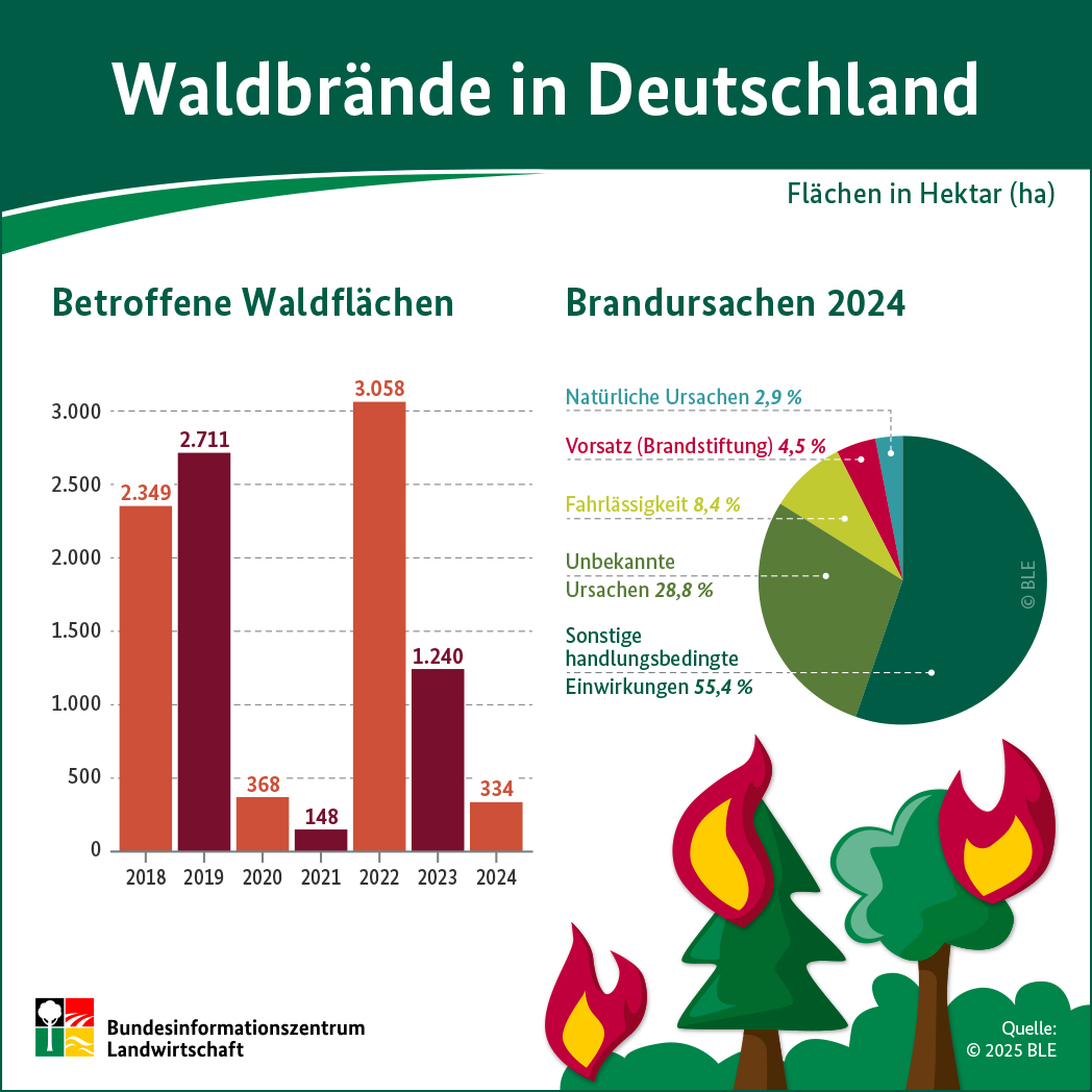 Feuer vernichten wertvolle Kulturlandschaften: Die Statistik zu Waldbränden gibt einen Überblick (Grafik BLE).
