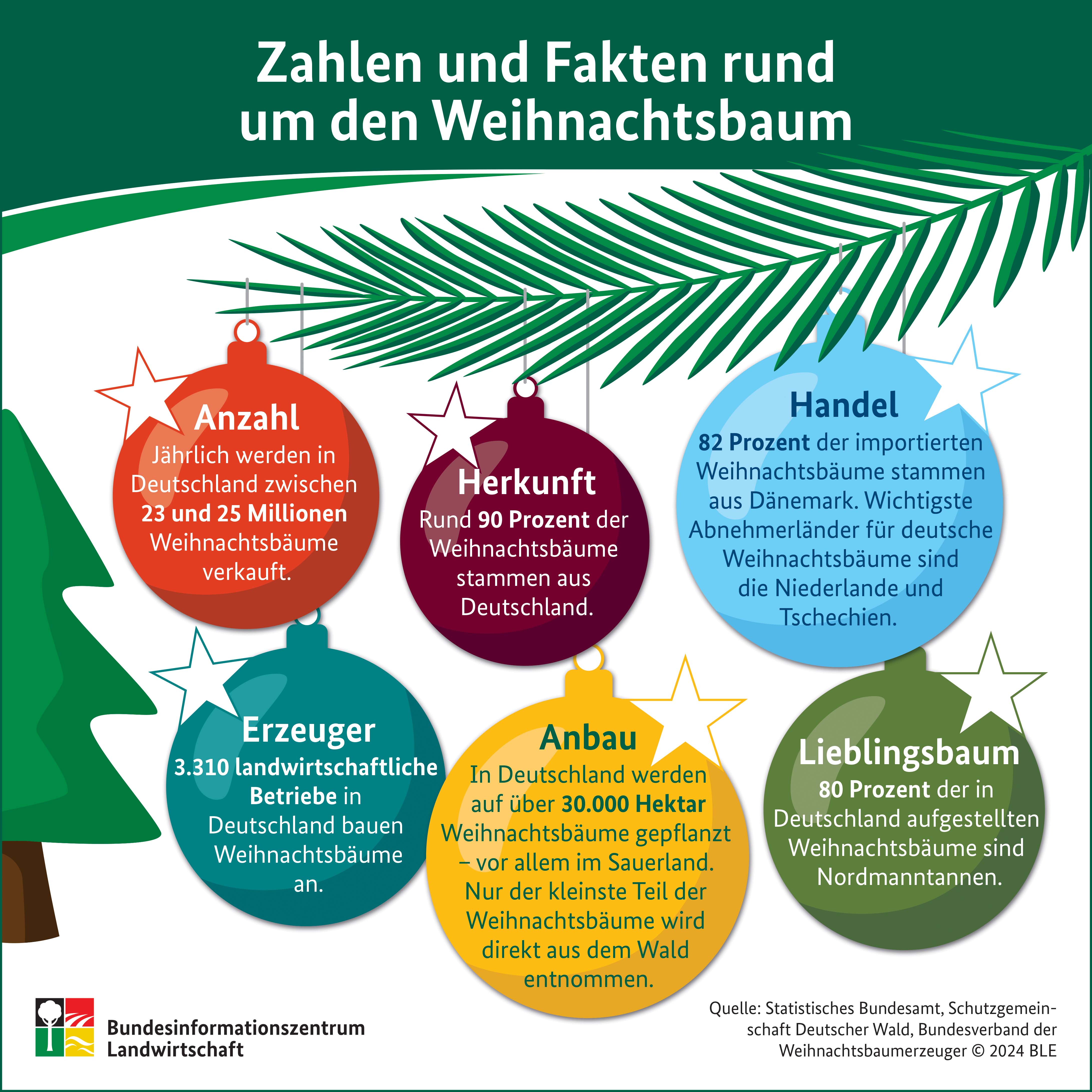 Was aus Tannenbäumen werden kann (Quelle BWS/BZL/SDW/).