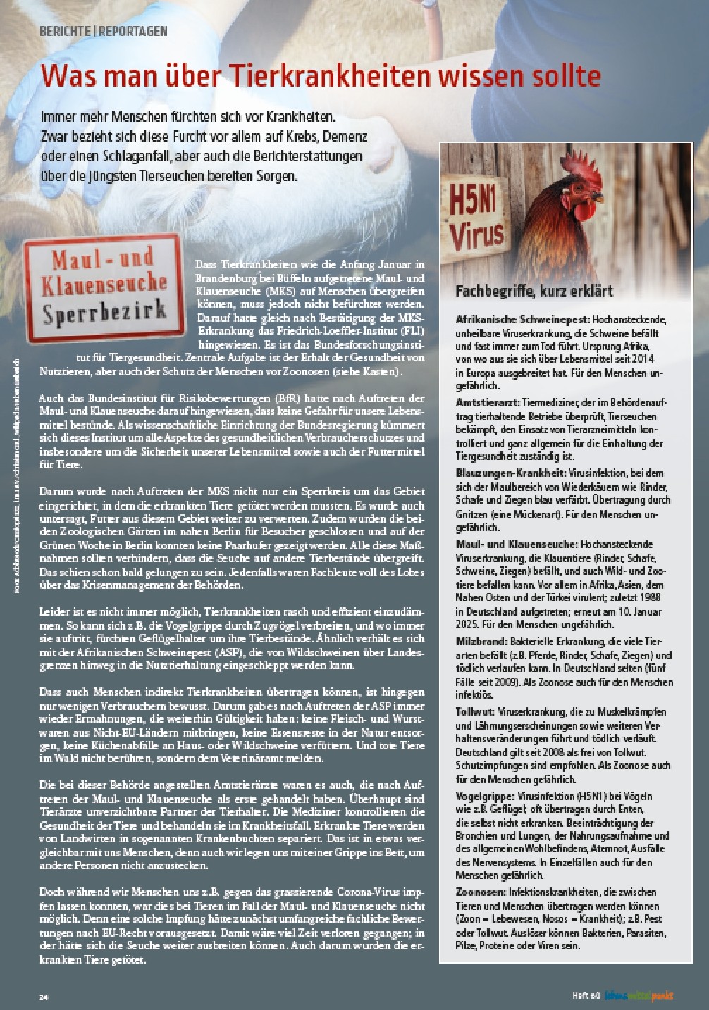 Wissenswertes zu Tierkrankheiten: Artikel aus dem „lebens.mittel.punkt“.