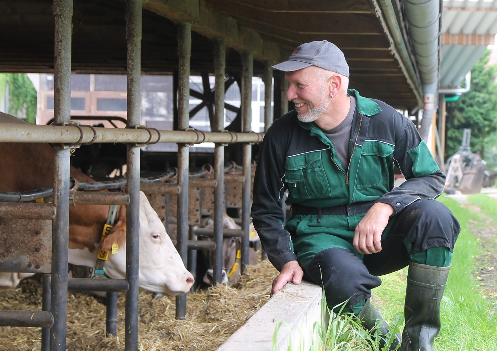 Zum „Weltbauerntag“: Geht es den Tieren gut, geht es auch den Bauern gut (Foto: i.m.a e.V.).