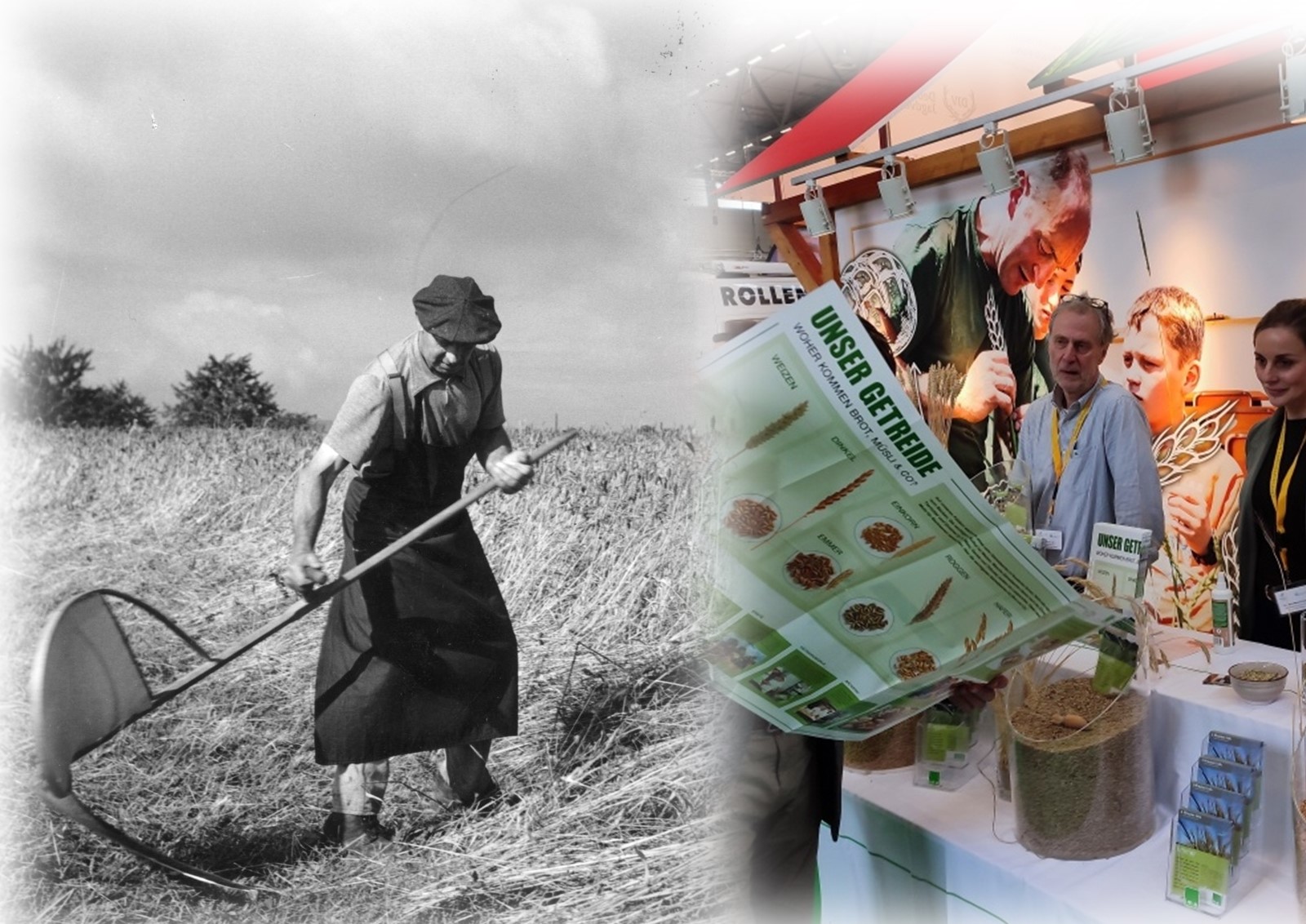 Die Mahd: Auch wenn einst mit Sense und Holder geschnitten wurde, so ist es auch heute noch Getreide, das geerntet wird (Foto: i.m.a-Archiv).