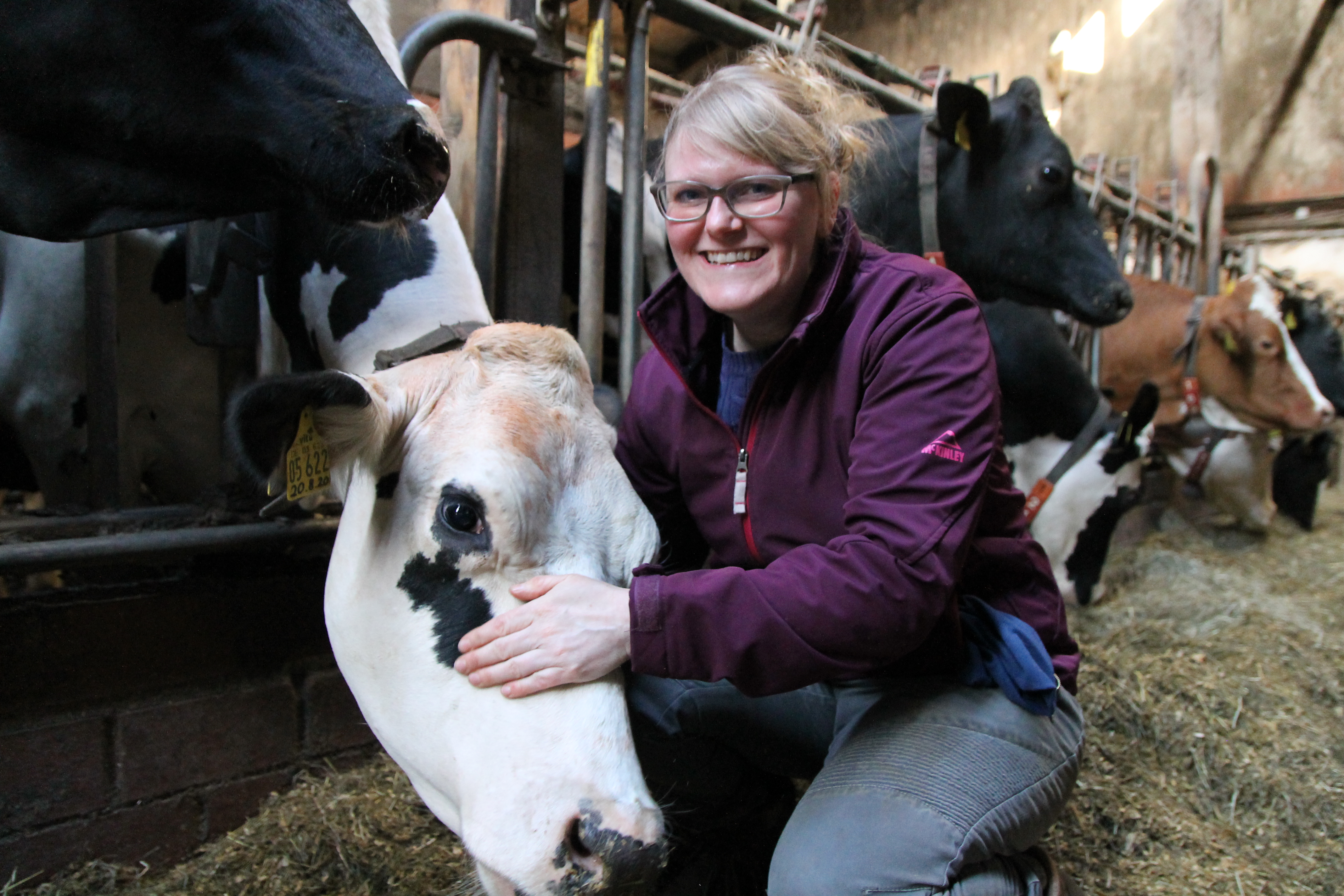 Kreatives Umfeld: Thale Meyer bei den Milchkühen; nebenan vom Bauwagen.