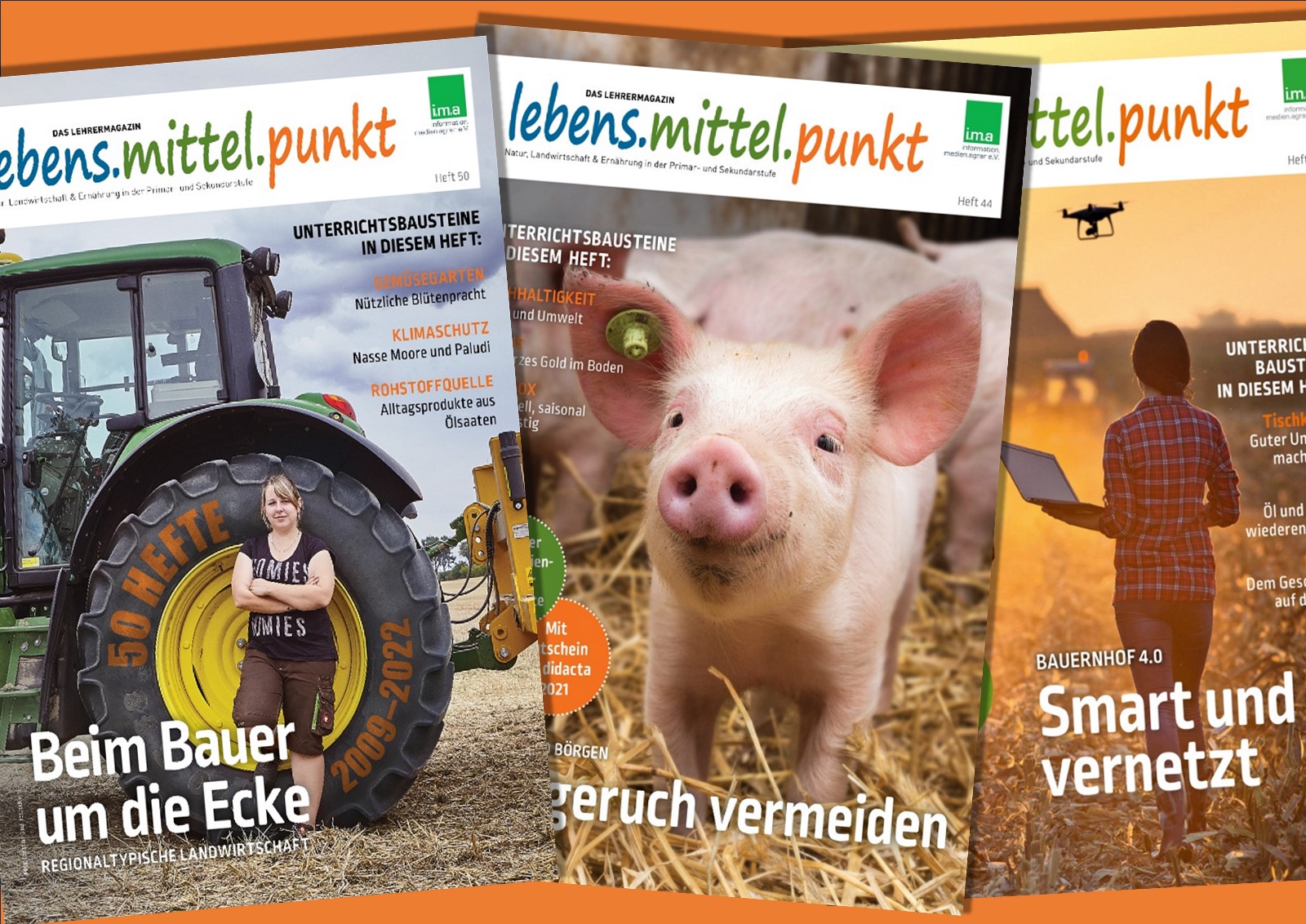 Die Leser können sich entscheiden: Gedrucktes Abo oder kostenlose Online-Version.