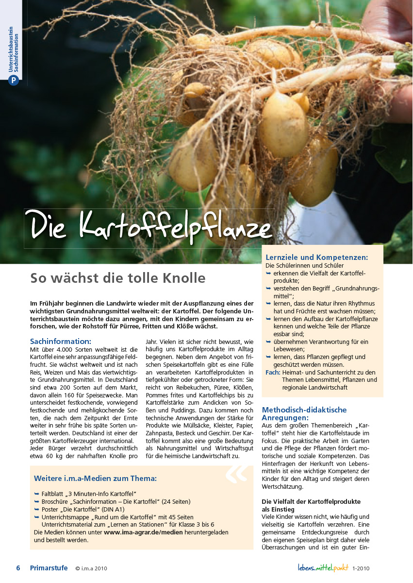 Titelbild des Unterrichtsbausteins Die Kartoffelpflanze