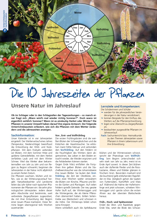 Titelbild des Unterrichtsbausteins Die 10 Jahreszeiten der Pflanzen