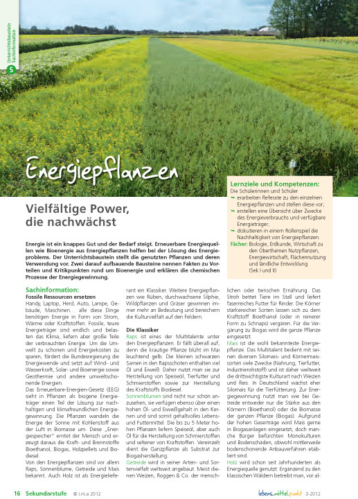 Titelbild des Unterrichtsbausteins Energiepflanzen