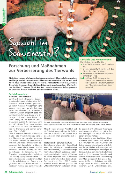 Titelbild des Unterrichtsbausteins Sauwohl im Schweinestall?