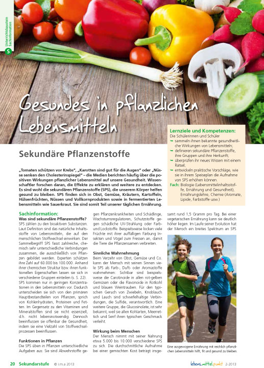 Titelbild des Unterrichtsbausteins Gesundes in pflanzlichen Lebensmitteln