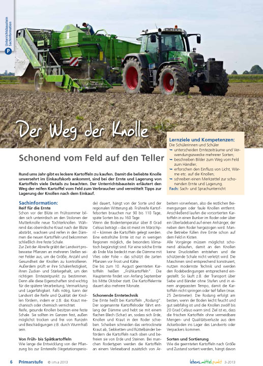 Titelbild des Unterrichtsbausteins Der Weg der Knolle