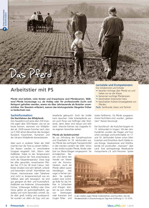 Titelbild des Unterrichtsbausteins Das Pferd