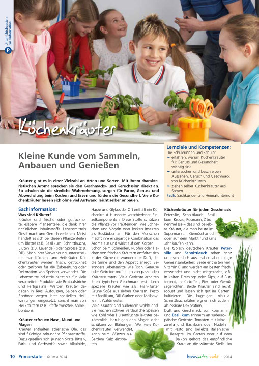 Titelbild des Unterrichtsbausteins Küchenkräuter