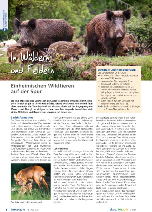 Titelbild des Unterrichtsbausteins In Wäldern und Feldern