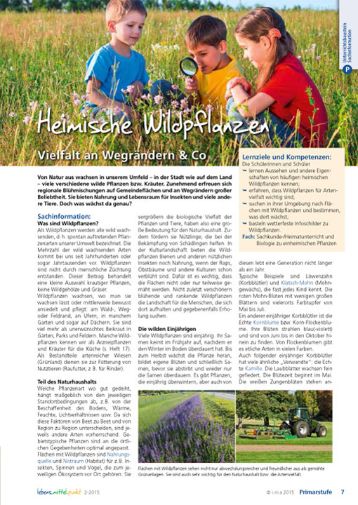 Titelbild des Unterrichtsbausteins Heimische Wildpflanzen