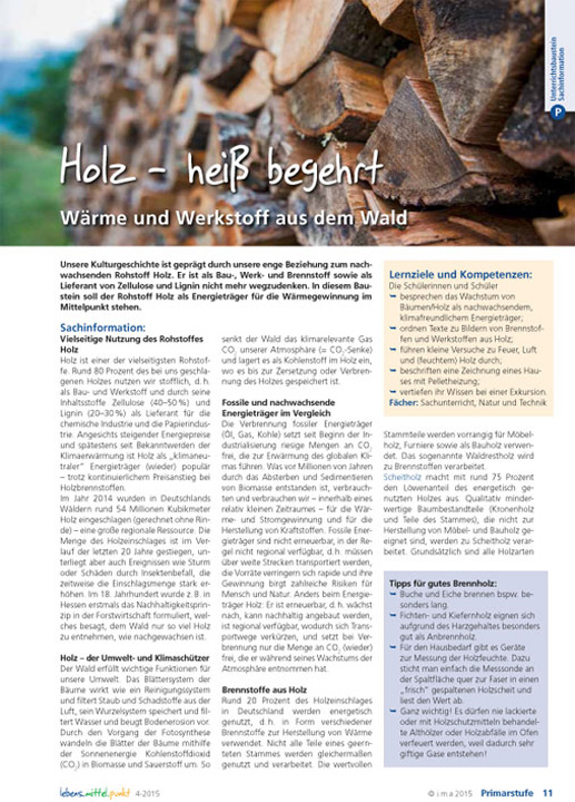 Titelbild des Unterrichtsbausteins Holz - heiß begehrt