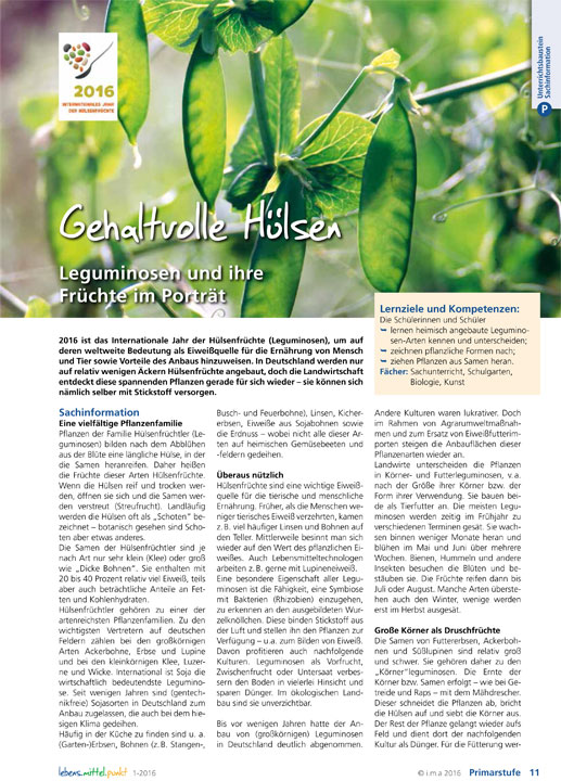 Titelbild des Unterrichtsbausteins Gehaltvolle Hülsen