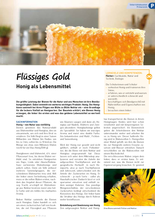 Titelbild des Unterrichtsbausteins Flüssiges Gold
