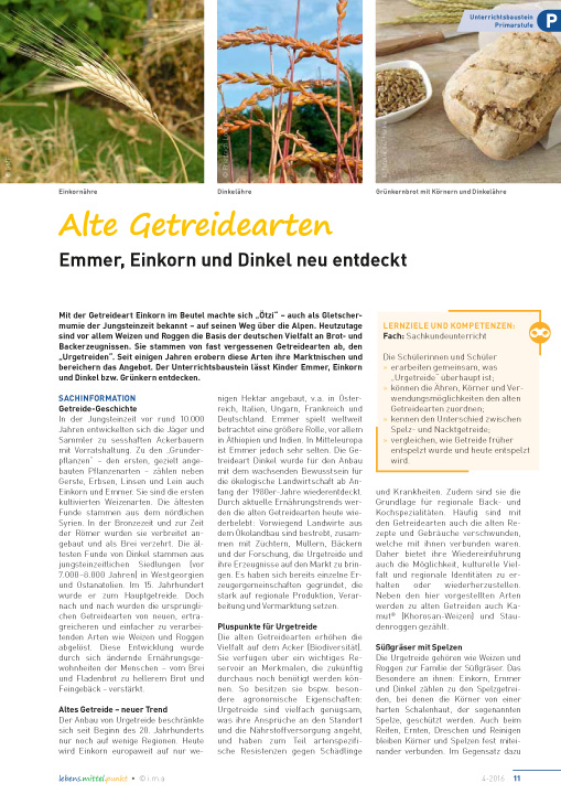 Titelbild des Unterrichtsbausteins Alte Getreidearten