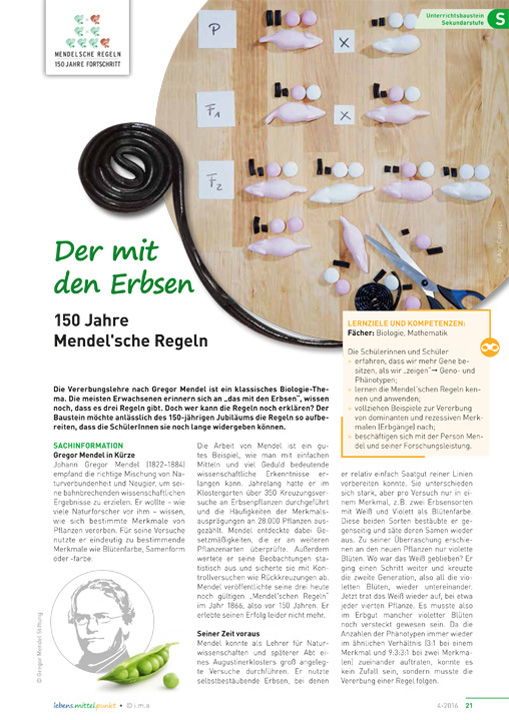 Titelbild des Unterrichtsbausteins Der mit den Erbsen