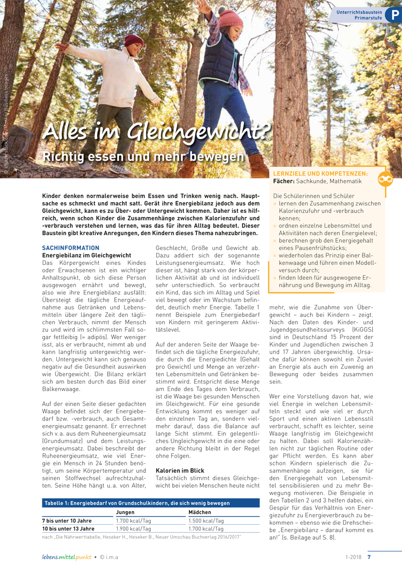 Titelbild des Unterrichtsbausteins Alles im Gleichgewicht?