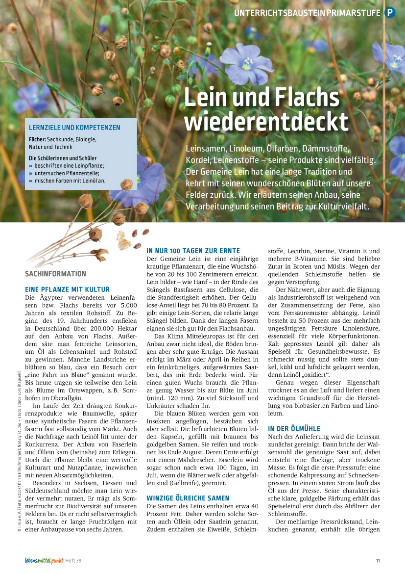 Titelbild des Unterrichtsbausteins Lein und Flachs wiederentdeckt