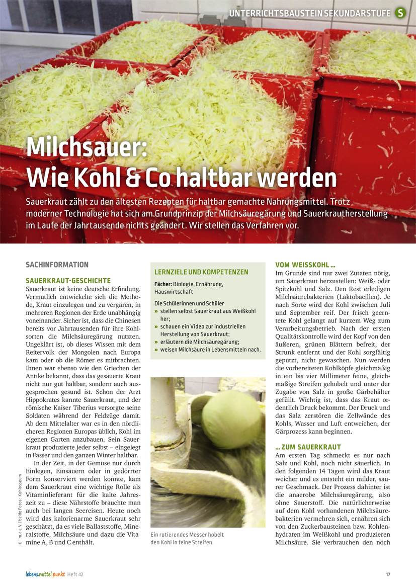 Titelbild des Unterrichtsbausteins Milchsauer