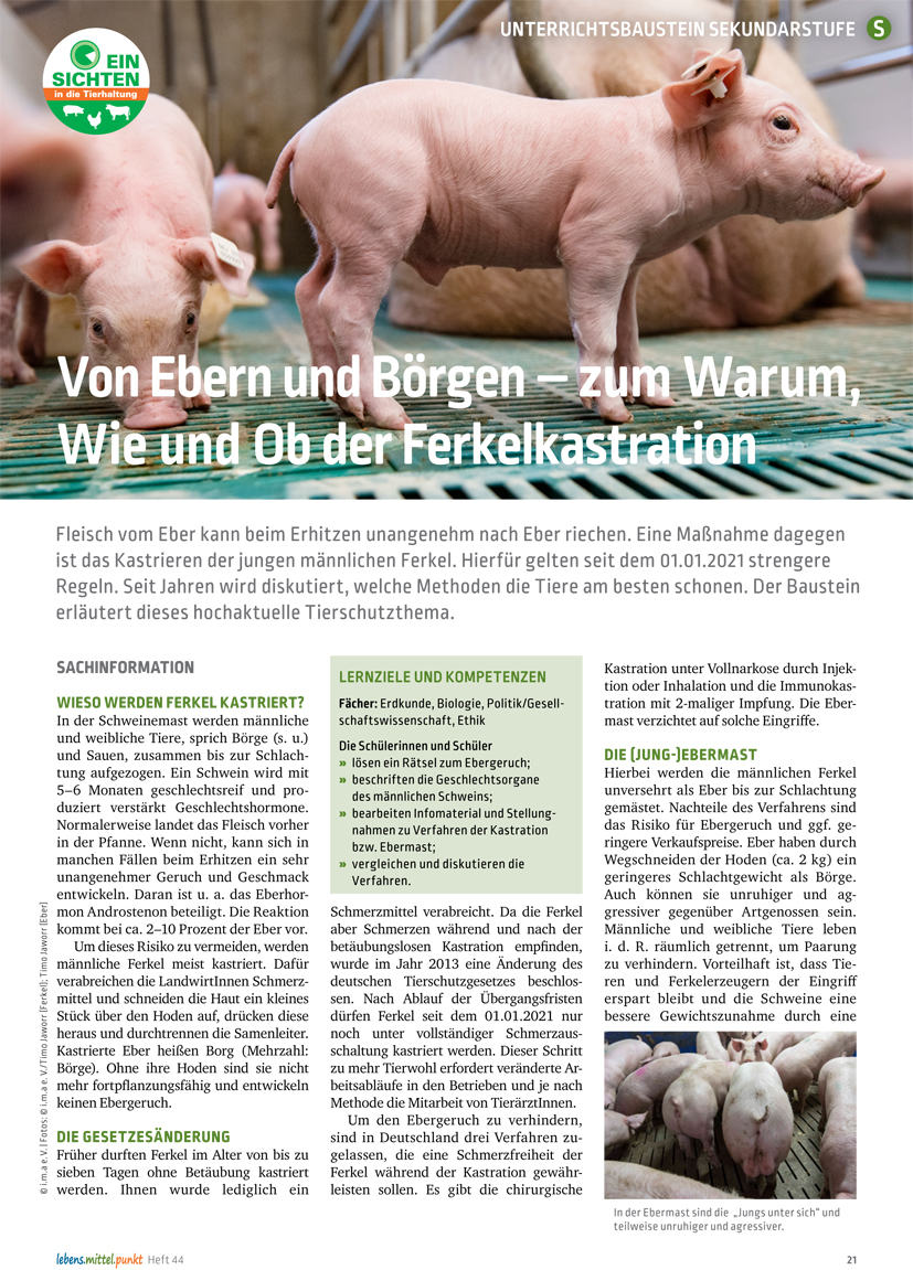 Titelbild des Unterrichtsbausteins Von Ebern und Börgen