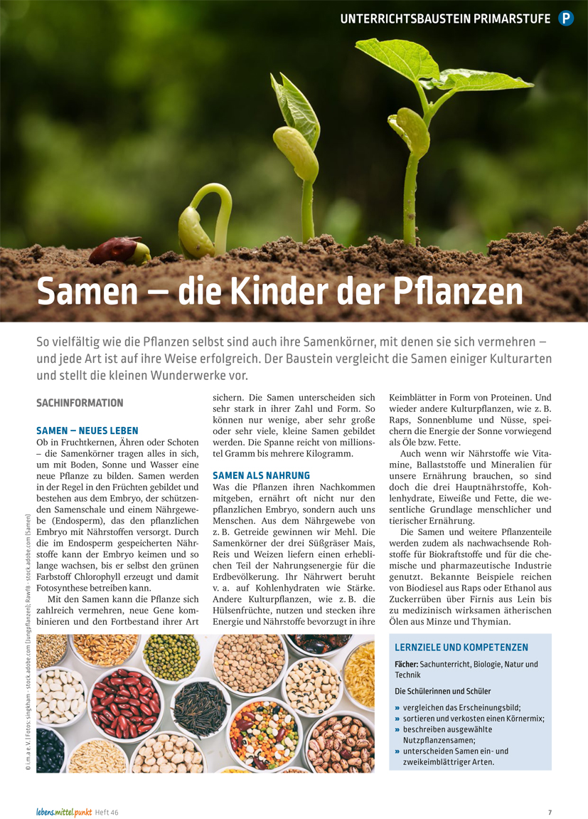 Titelbild des Unterrichtsbausteins Samen