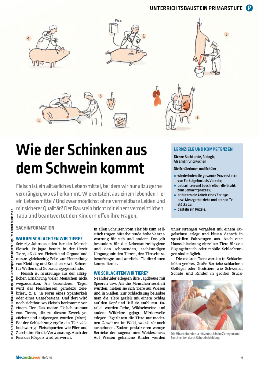 Titelbild des Unterrichtsbausteins Schlachtung