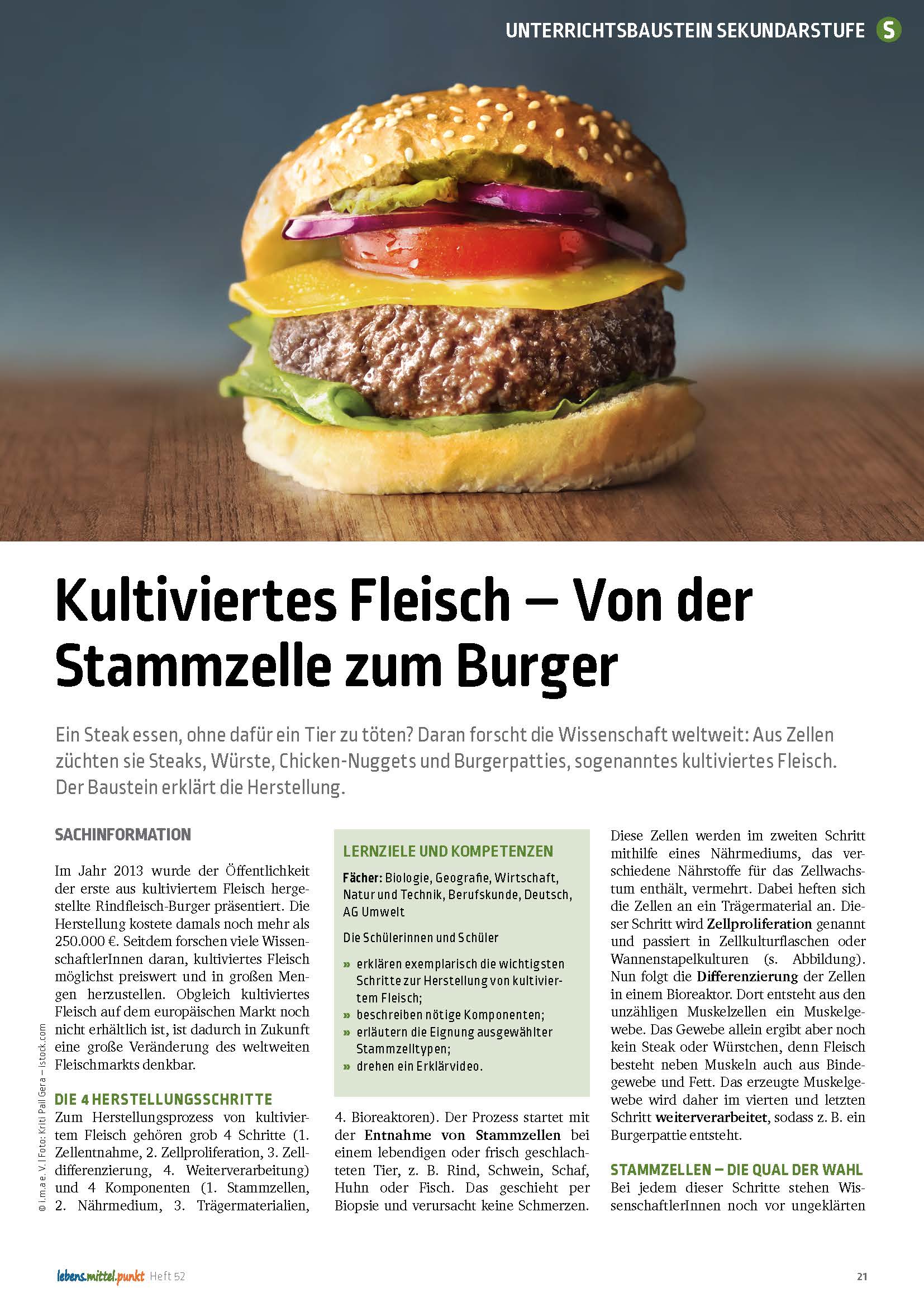 Titelbild des Unterrichtsbausteins Kultiviertes Fleisch