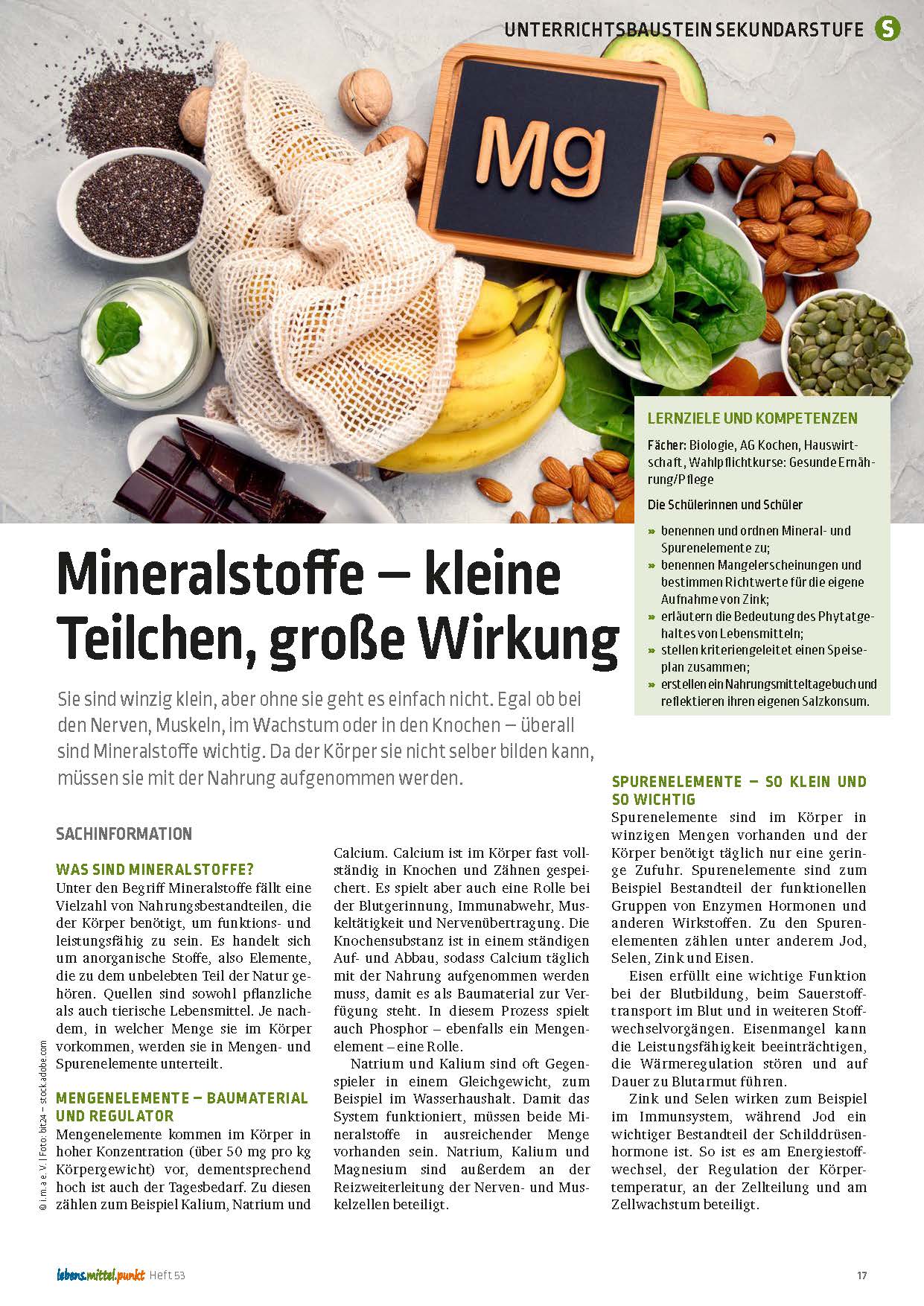 Titelbild des Unterrichtsbausteins Mineralstoffe