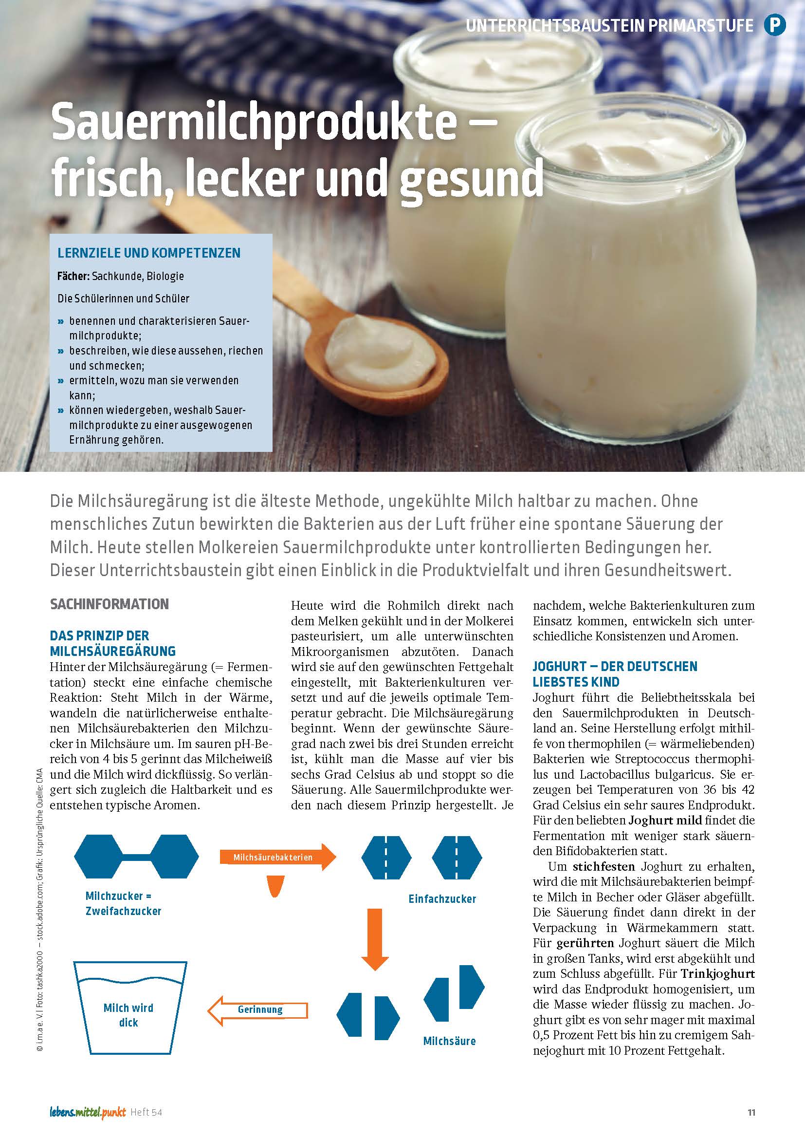Titelbild des Unterrichtsbausteins Sauermilchprodukte