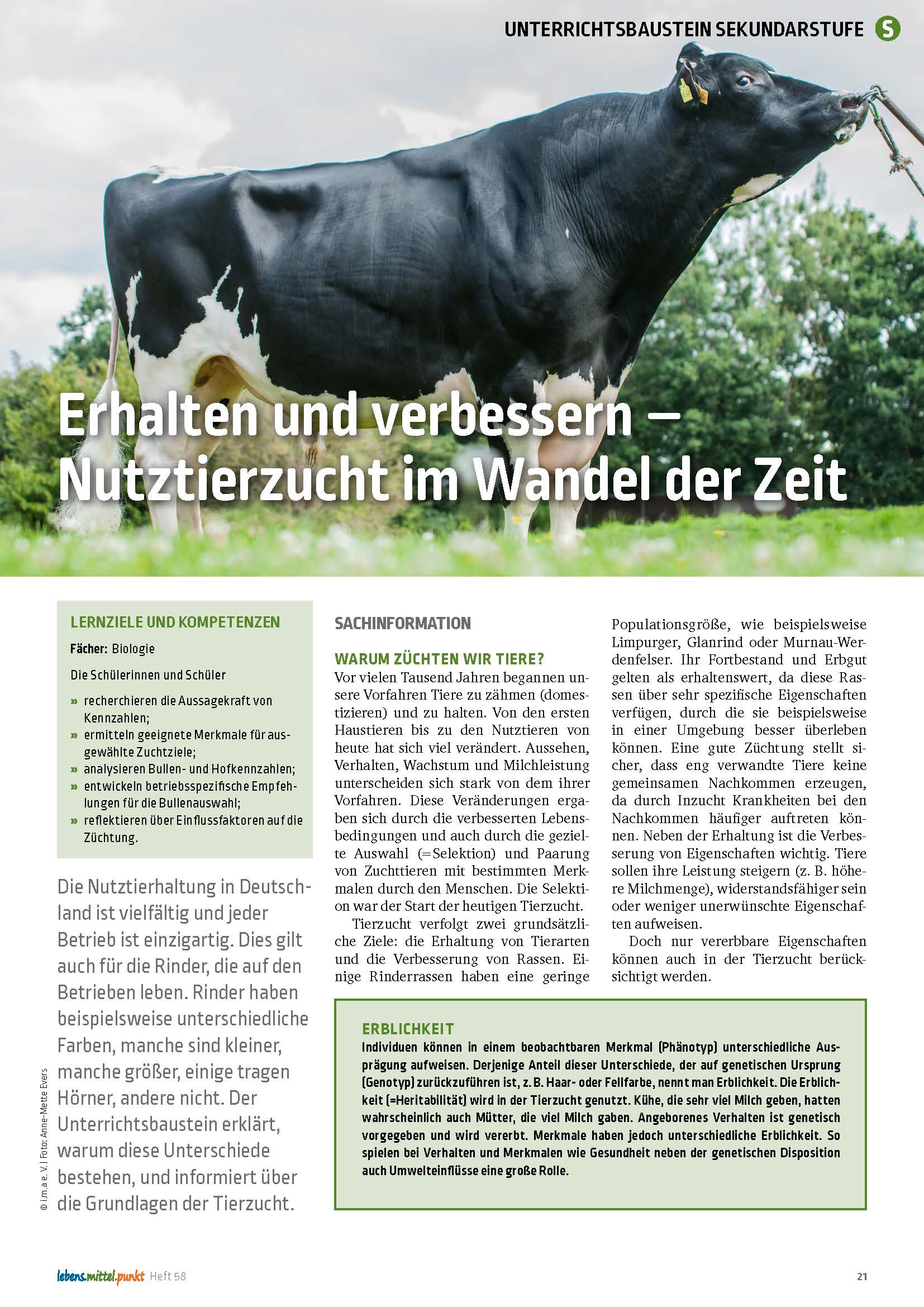 Titelbild des Unterrichtsbausteins Nutztierzucht im Wandel der Zeit