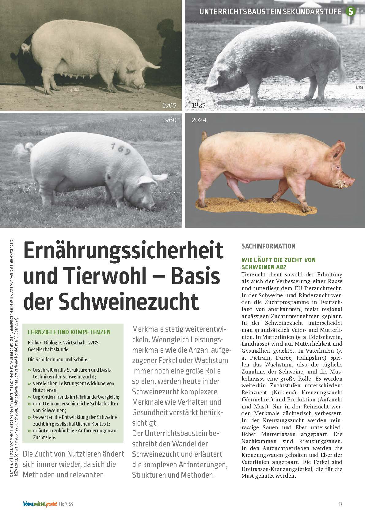 Titelbild des Unterrichtsbausteins Basis der Schweinezucht