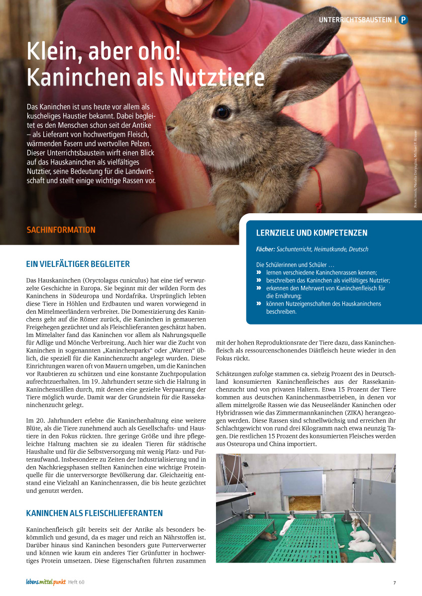 Titelbild des Unterrichtsbausteins Klein, aber oho!