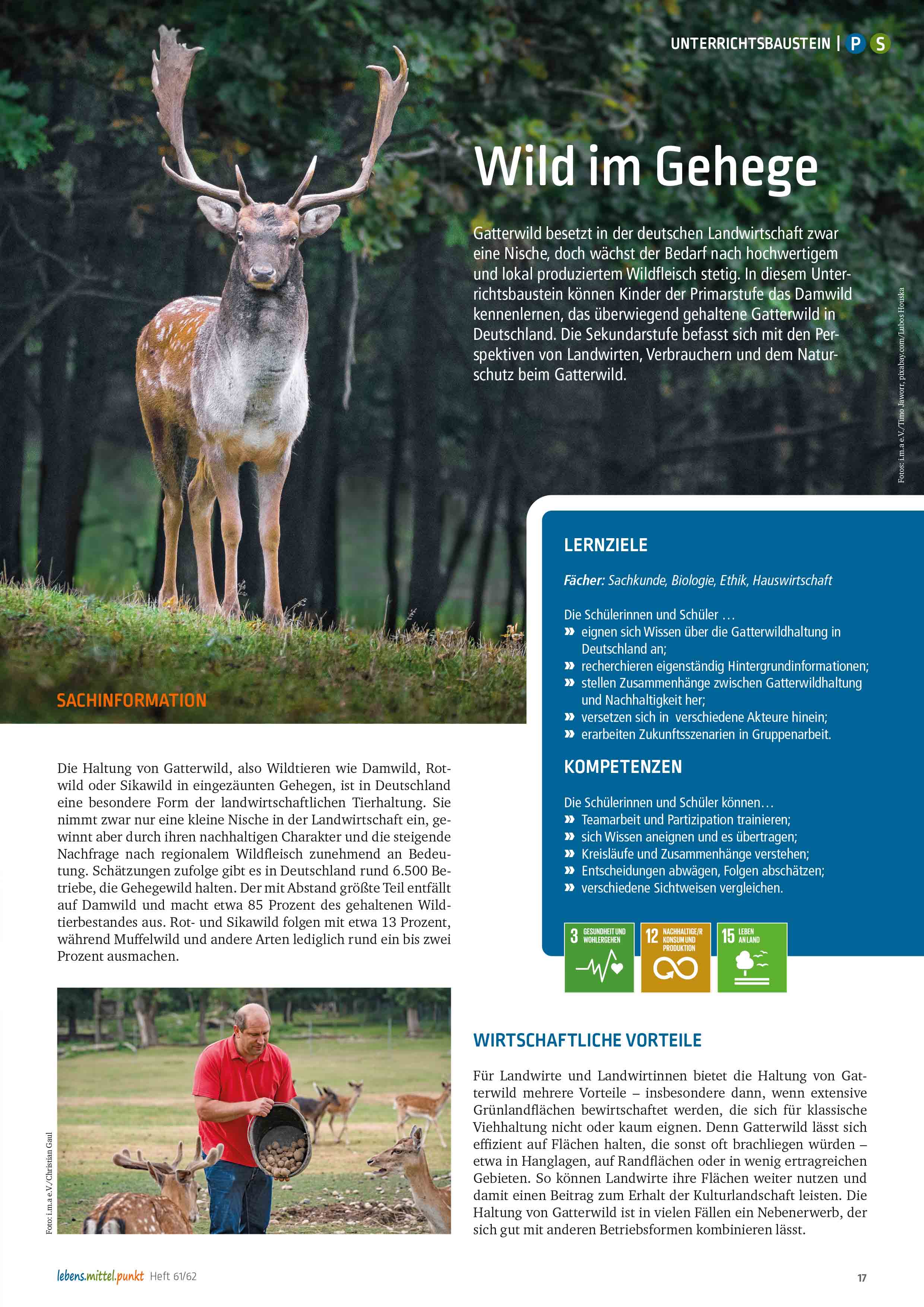 Titelbild des Unterrichtsbausteins Gatterwild