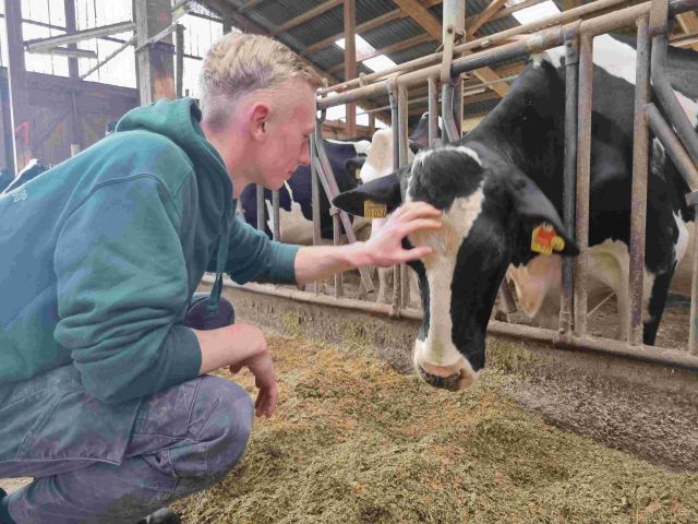 Brümmers kontrollieren intensiv das Wohl der Tiere